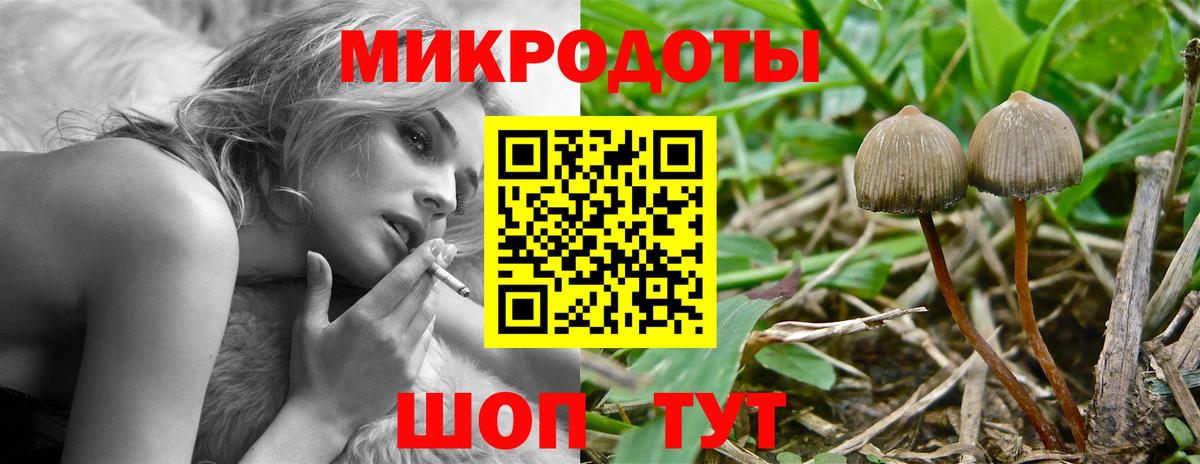 Галлюциногенные грибы мухоморы Выкса
